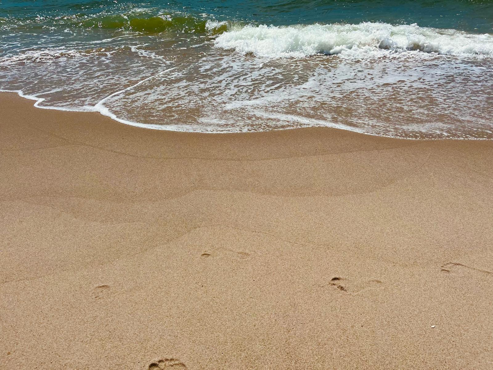 Footprints in the sand