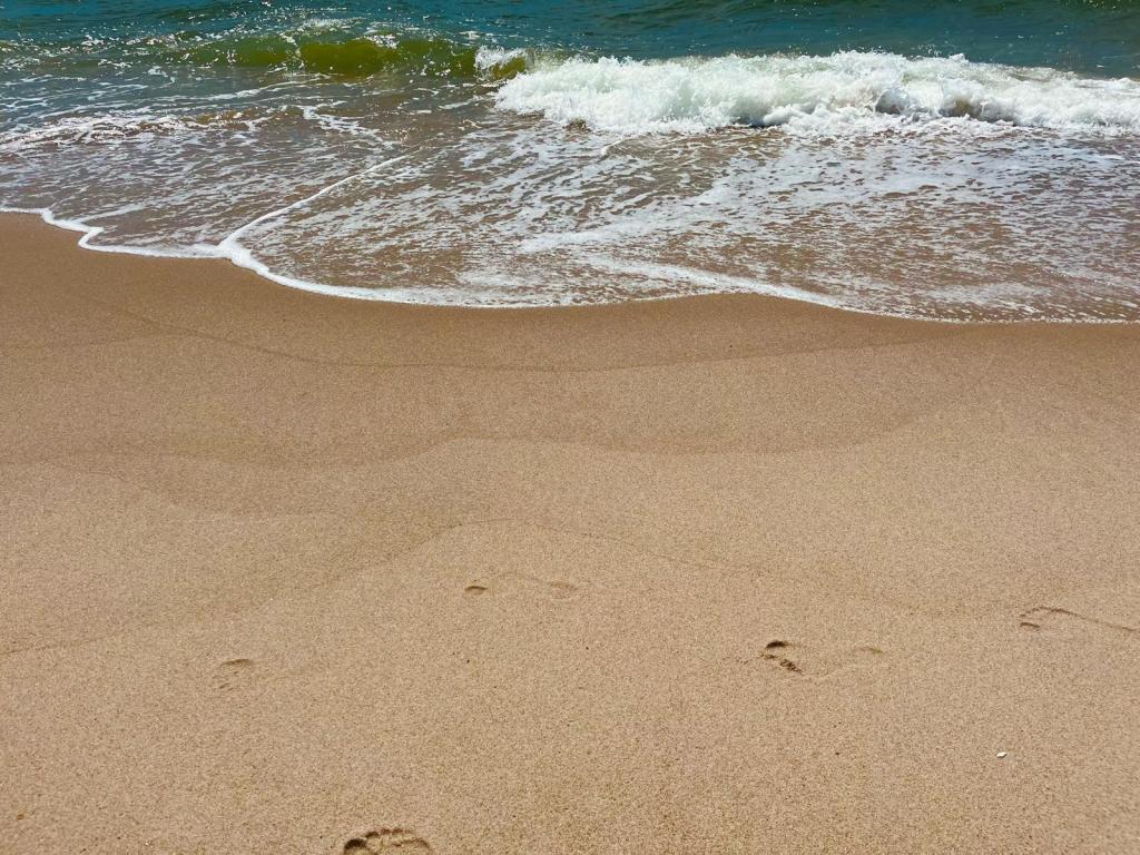 Footprints in the&nbsp;sand